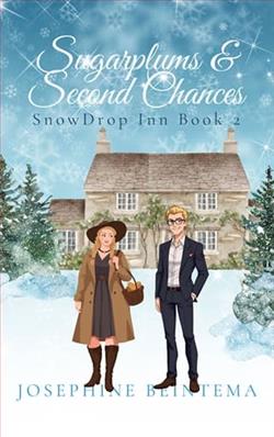 Sugarplums & Second Chances