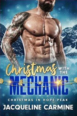 Christmas with the Mechanic