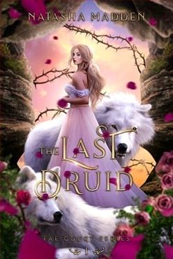 The Last Druid