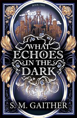 What Echoes in the Dark