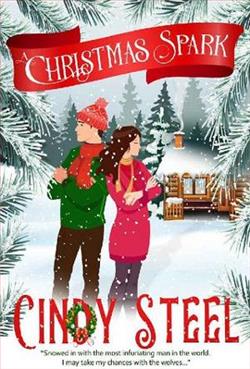 A Christmas Spark
