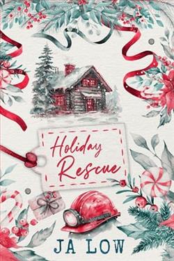 Holiday Rescue