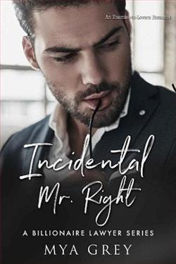 Incidental Mr. Right