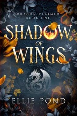 Shadow of Wings