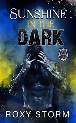 Sunshine In The Dark