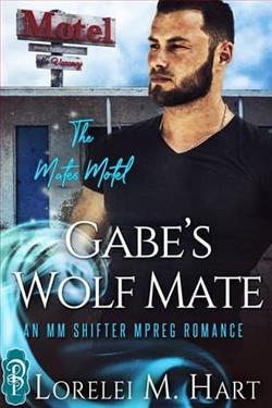 Gabe's Wolf Mate