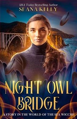 Night Owl Bridge