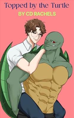 Topped By the Turtle
