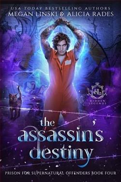 The Assassin's Destiny