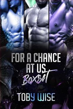 For A Chance At Us Boxset