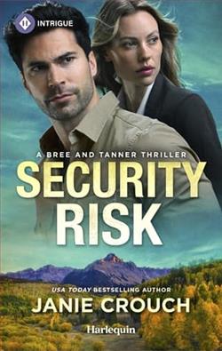 Security Risk