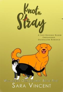 Knot the Stray