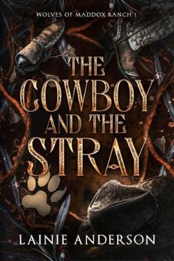 The Cowboy and the Stray