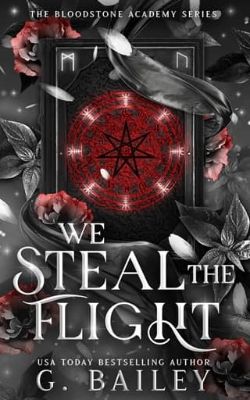 Cover of We Steal The Flight by G. Bailey