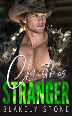Cover of Christmas With A Stranger by Blakely Stone