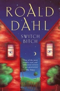 Switch Bitch