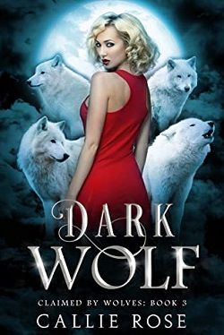 Dark Wolf (Claimed by Wolves 3)