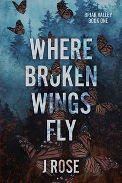 Where Broken Wings Fly by J. Rose