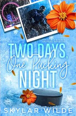 Two days, One Pucking Night by Skylar Wilde