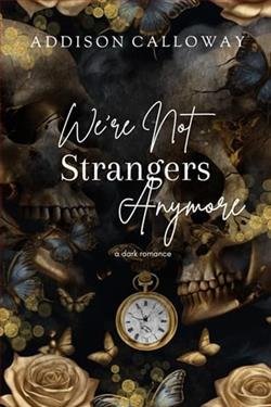 We're Not Strangers Anymore by Addison Calloway