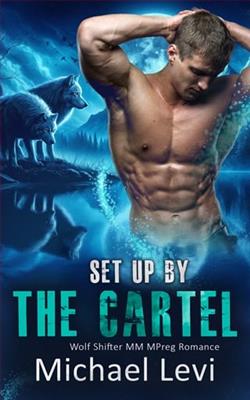 Set Up By the Cartel by Michael Levi