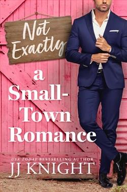 Not Exactly a Small-Town Romance by J.J. Knight