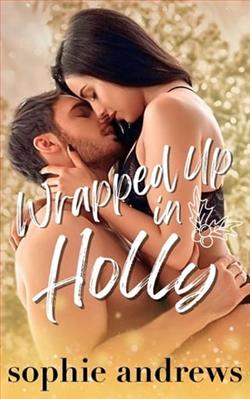 Wrapped Up in Holly by Sophie Andrews