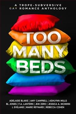 Too Many Beds by Adelaide Blaike