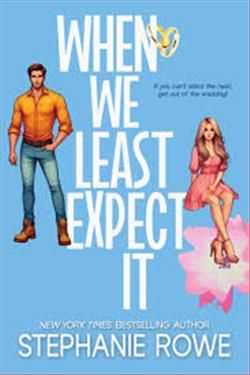 When We Least Expect It (Mr. Inconvenient) by Stephanie Rowe