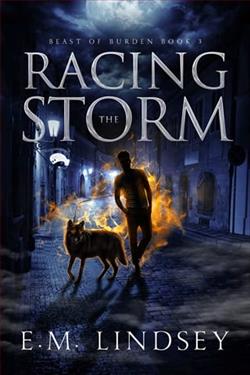 Racing the Storm by E.M. Lindsey