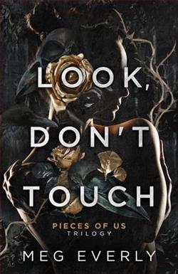 Look, Don't Touch by Meg Everly