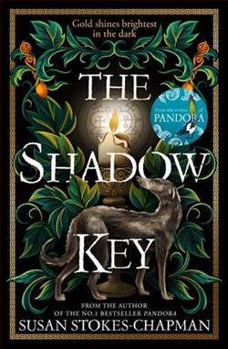 The Shadow Key by Susan Stokes-Chapman