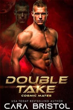 Double Take by Cara Bristol